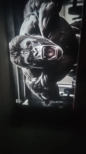 Review photo by Olivia P.