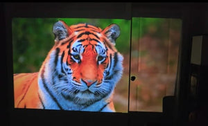 Review photo by David T.