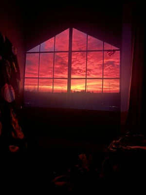 Review photo by Michael R.